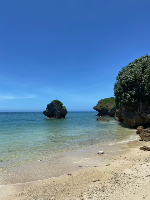 沖縄　バス　海　新原ビーチ　天然